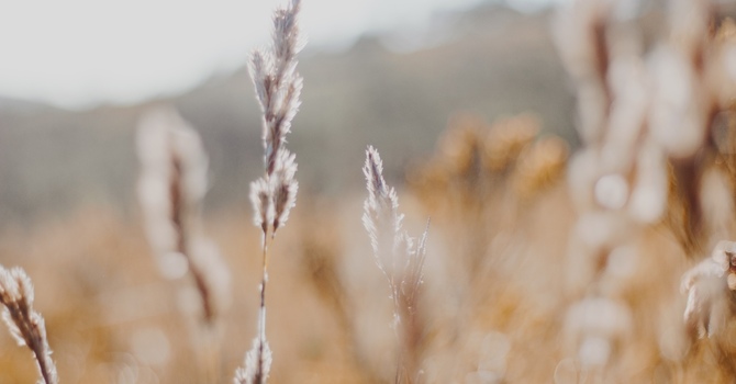 When Your Body Says “Enough”: How Stress, Anxiety, and Depression Show Up Physically — And What You Can Do About It image