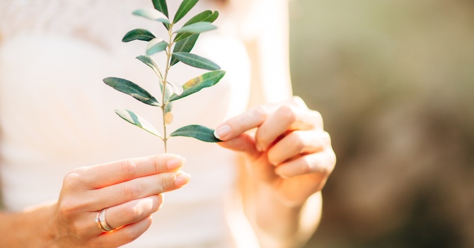 Community Wellness Consulting