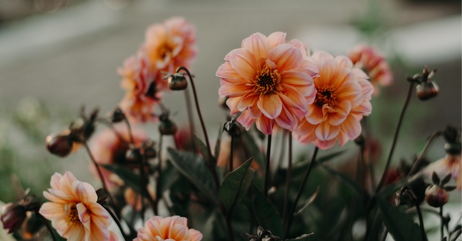 When You Feel Lost and Alone: A Path Back to Yourself