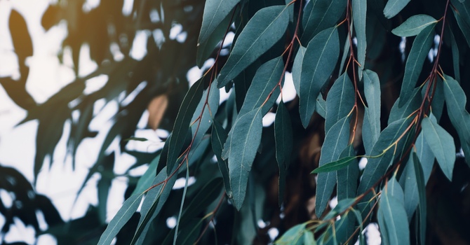 When Your Body Says “Enough”: How Stress, Anxiety, and Depression Show Up Physically — And What You Can Do About It image