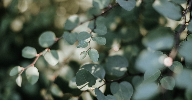 What Is Relationship Counselling and How It Can Transform Your Connection image